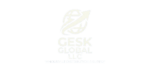 Gesk Global LLC Logo